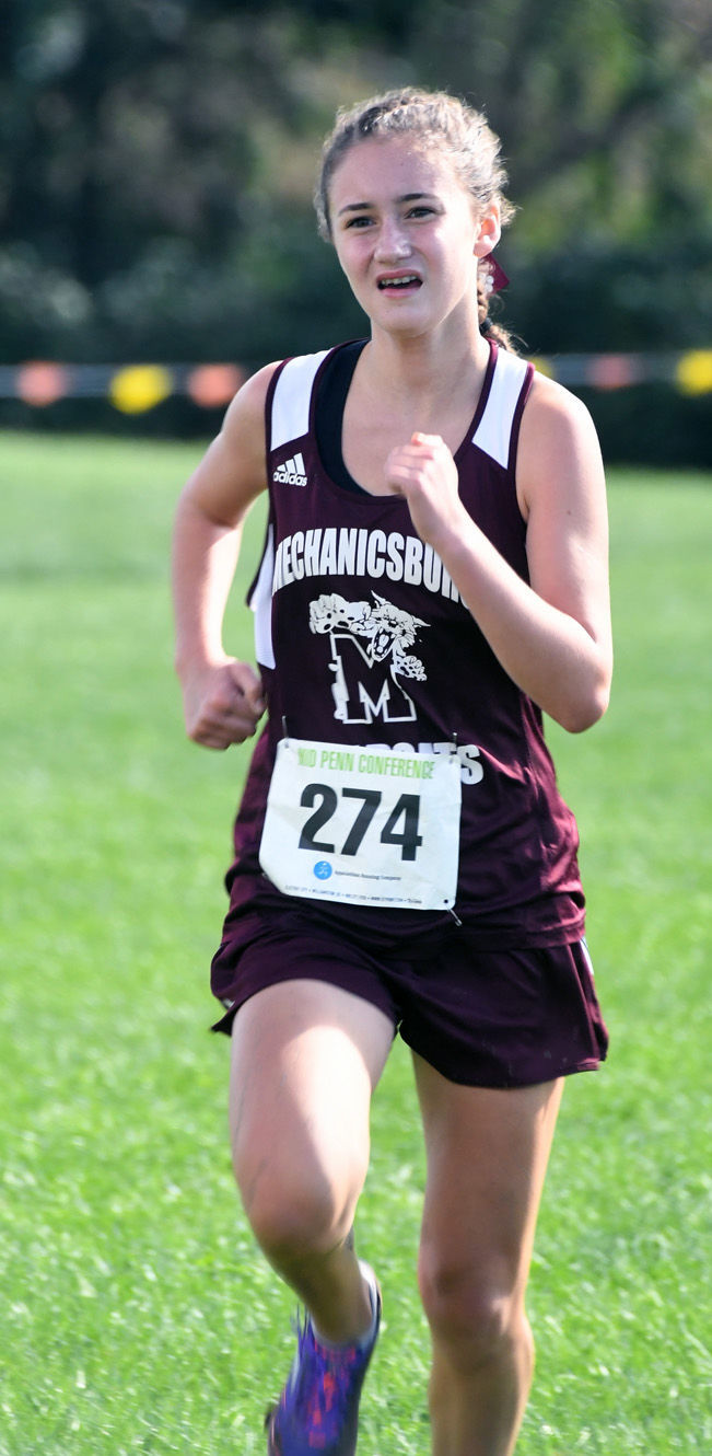 Mid Penn Cross Country